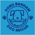 Microchipping- Doris Banham Dog Rescue image 5