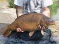 Mid Kent Fisheries image 7