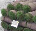 Midlands Turf Supplies image 2