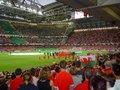 Millennium Stadium image 3