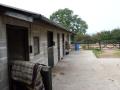 Mire Fold Farm Livery Stables image 3