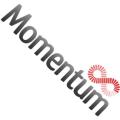 Momentum Web Solutions Ltd. image 1