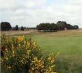 Monifieth Golf Links image 5