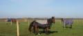 Monnington Equestrian image 2