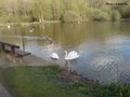 Moses Gate Country Park image 4