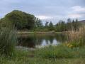 Mossat Trout Fishery image 2