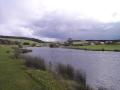 Mossat Trout Fishery image 5