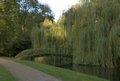 Mottisfont, Mottisfont Abbey (s. Entrance) (NW-bound) image 2