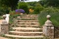 Mottistone Manor Garden image 4