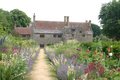 Mottistone Manor Garden image 7