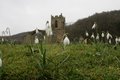 Mount Grace Priory image 9