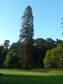 Mount Stewart image 5