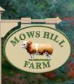 Mows Hill Bed and Breakfast image 3