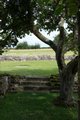 Muchelney Abbey image 3