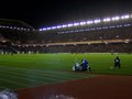 Murrayfield image 10