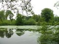 Mus Lydiard Park image 7