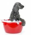 Muttropolitan Dog Grooming image 1