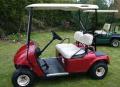 My Golf Buggy image 1