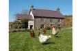 Nantgwynfaen Organic Farm Bed & Breakfast & Farm Shop logo