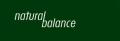 Natural Balance Therapies logo