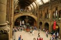 Natural History Museum image 4