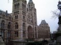 Natural History Museum image 6