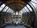 Natural History Museum image 7