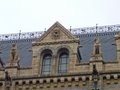 Natural History Museum image 9