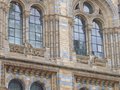 Natural History Museum image 10