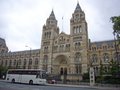Natural History Museum logo