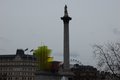 Nelson's Column image 6