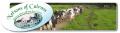 Nelson's of Culross Dairy Farm Ice Cream and CL Caravan Site logo