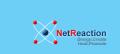 NetReaction logo
