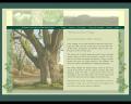 New Forest Web Design - New Forest, Salisbury image 6