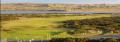 Newburgh-on-Ythan Golf Club image 3