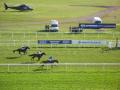 Newbury Racecourse image 2