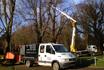 Newcastle Tree Surgeons image 6