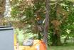 Newcastle Tree Surgeons image 1