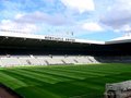 Newcastle United FC image 4