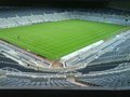 Newcastle United FC image 7