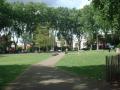 Newington Green image 7