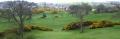 Newton Stewart Golf Club image 2