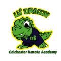 Nifty Ninjas Karate for Children (aged7 - 14) image 4