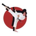 Nifty Ninjas Karate for Children (aged7 - 14) image 5