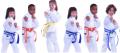 Nifty Ninjas Karate for Children (aged7 - 14) image 6