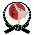Nifty Ninjas Karate for Children (aged7 - 14) logo