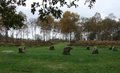 Nine Ladies Stone Circle image 3