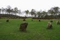 Nine Ladies Stone Circle image 7