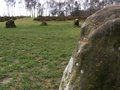 Nine Ladies Stone Circle image 1