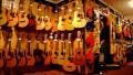 Norfolk Guitar and Bass Centre image 5